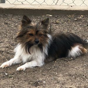 Meet your Posher, Fairlane